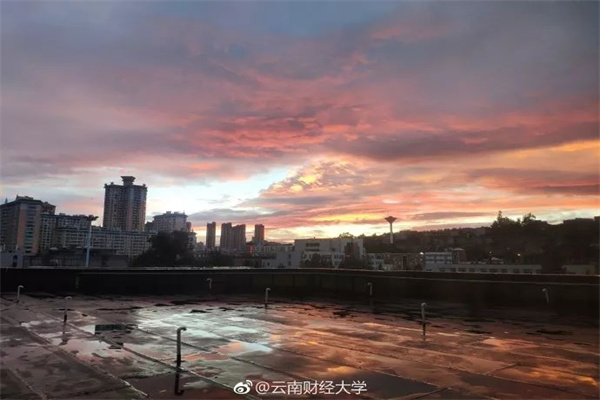 发现一个社会现象：普通人是很难财务自由的，因为普通人在存到第一个20万的时候，就想买个车；存到60万的时候，就想买套房子