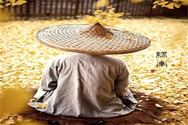 供不应求,中国猪业陷入“猪精难求”境地