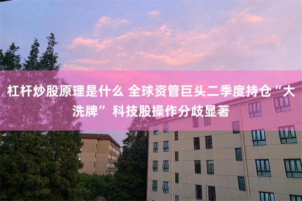 杠杆炒股原理是什么 全球资管巨头二季度持仓“大洗牌” 科技股操作分歧显著