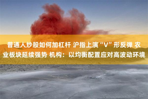 普通人炒股如何加杠杆 沪指上演“V”形反弹 农业板块延续强势 机构：以均衡配置应对高波动环境