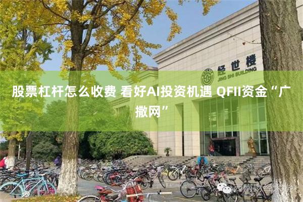 股票杠杆怎么收费 看好AI投资机遇 QFII资金“广撒网”