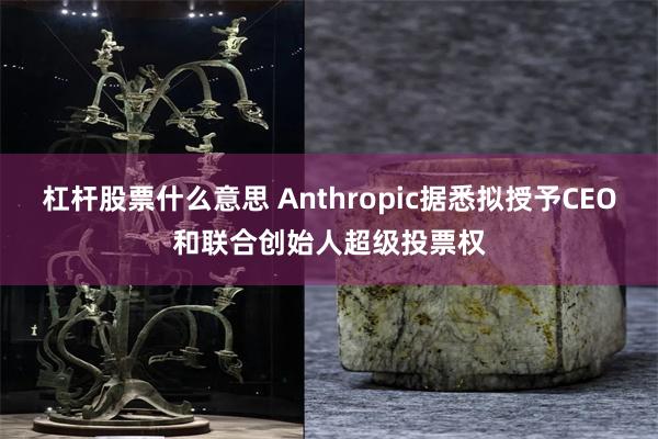 杠杆股票什么意思 Anthropic据悉拟授予CEO和联合创始人超级投票权