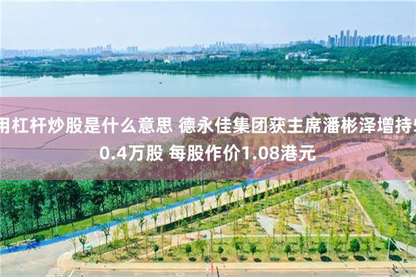 用杠杆炒股是什么意思 德永佳集团获主席潘彬泽增持50.4万股 每股作价1.08港元