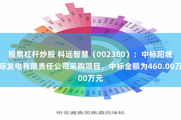 股票杠杆炒股 科远智慧（002380）：中标阳城国际发电有限责任公司采购项目，中标金额为460.00万元