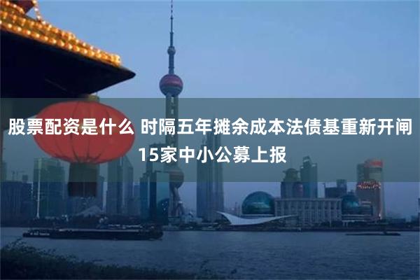 股票配资是什么 时隔五年摊余成本法债基重新开闸 15家中小公募上报