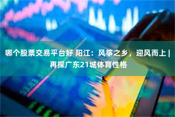 哪个股票交易平台好 阳江：风筝之乡，迎风而上 | 再探广东21城体育性格