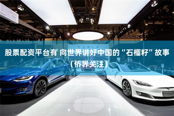 股票配资平台有 向世界讲好中国的“石榴籽”故事（侨界关注）