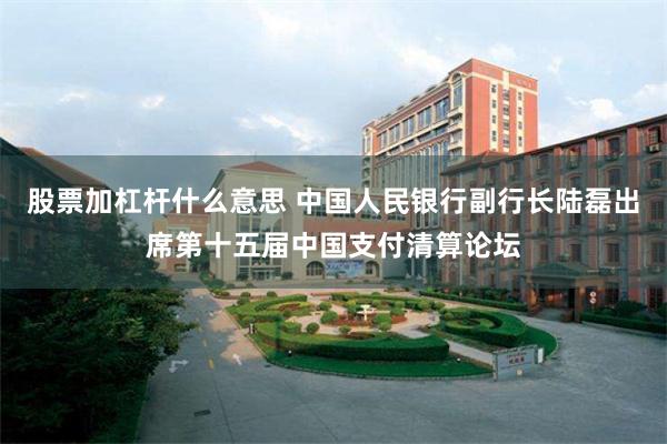 股票加杠杆什么意思 中国人民银行副行长陆磊出席第十五届中国支付清算论坛