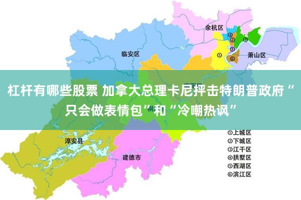 杠杆有哪些股票 加拿大总理卡尼抨击特朗普政府“只会做表情包”和“冷嘲热讽”