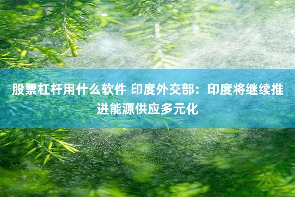 股票杠杆用什么软件 印度外交部:印度将继续推进能源供应多元化