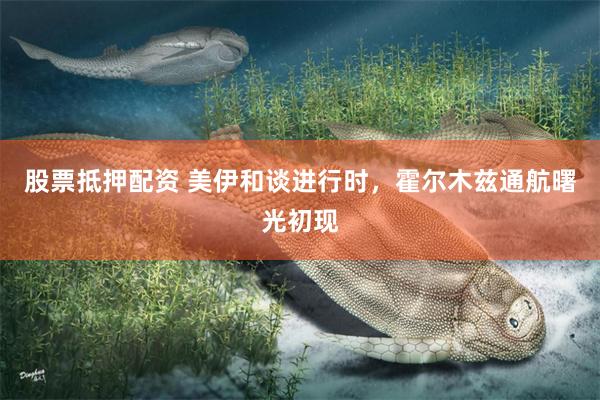 股票抵押配资 美伊和谈进行时，霍尔木兹通航曙光初现