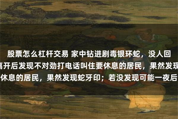 股票怎么杠杆交易 家中钻进剧毒银环蛇,没人回应“被咬”,救助人员离开后发现不对劲打电话叫住要休息的居民,果然发现蛇牙印;若没发现可能一夜后没命